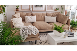 Design biophilique - faire entrer la nature à l'intérieur