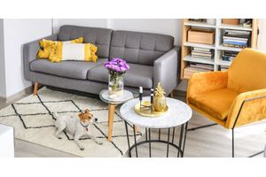 Canapés et fauteuils sur pieds – avantages et inconvénients. Vaut-il la peine de choisir ce type de modèle pour votre salon ?