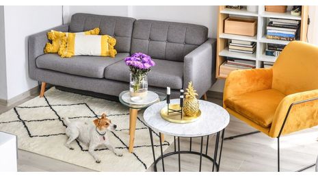 Canapés et fauteuils sur pieds – avantages et inconvénients. Vaut-il la peine de choisir ce type de modèle pour votre salon ?