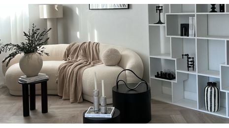 Idées de salon pour un appartement en location - du style sans engagement